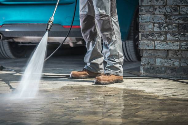 Best Dumpster Area Cleaning  in , KY